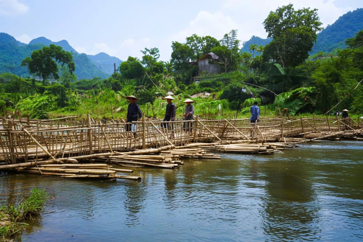 Những người đi qua cầu tre